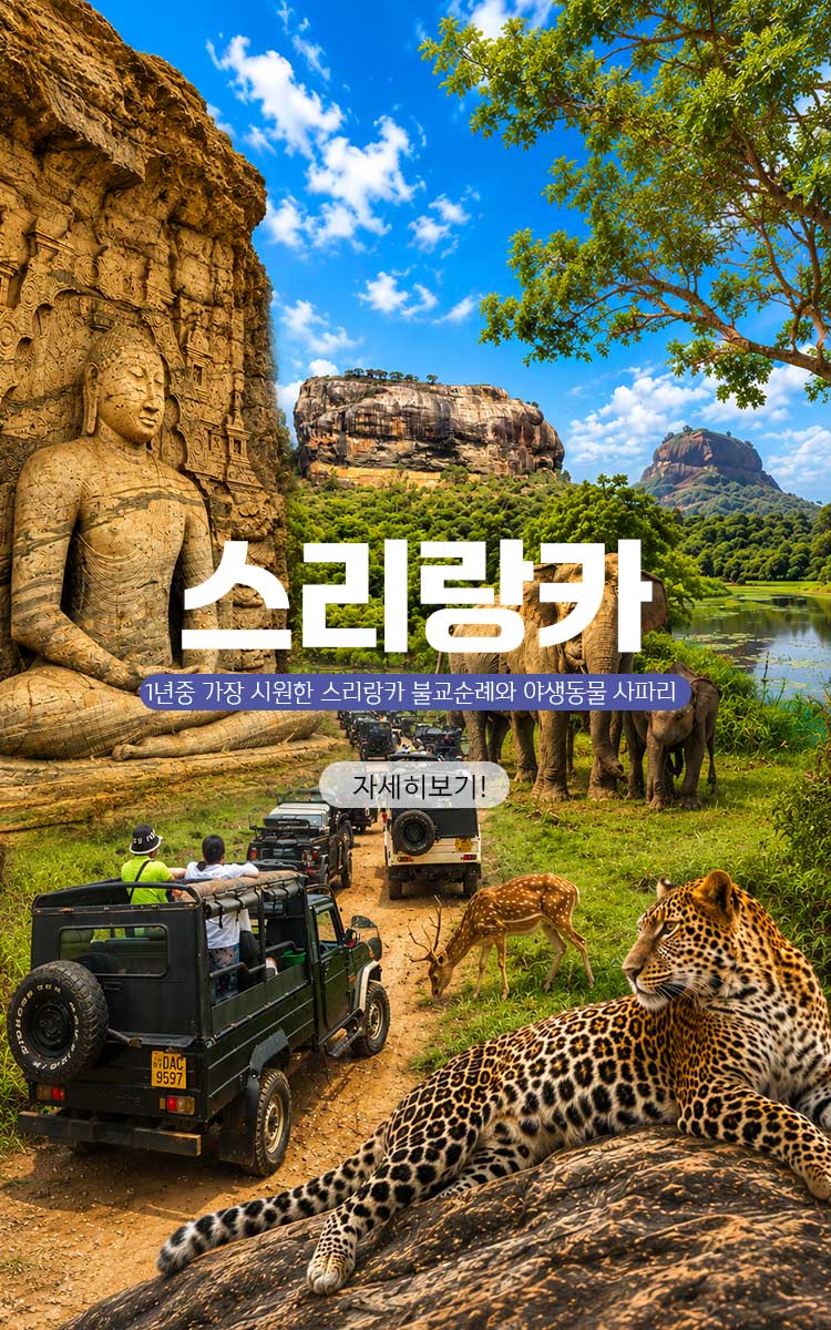 /upload/ajetour/file/we1100/202606/ajetour_cm9910_30008018.jpg